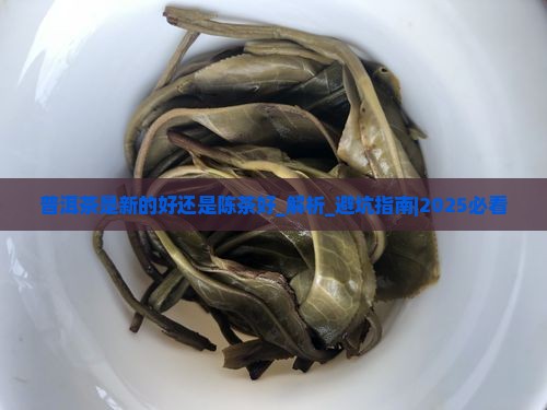 普洱茶是新的好还是陈茶好