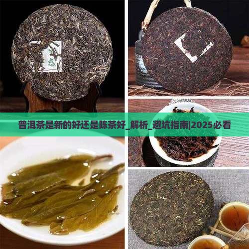 普洱茶是新的好还是陈茶好