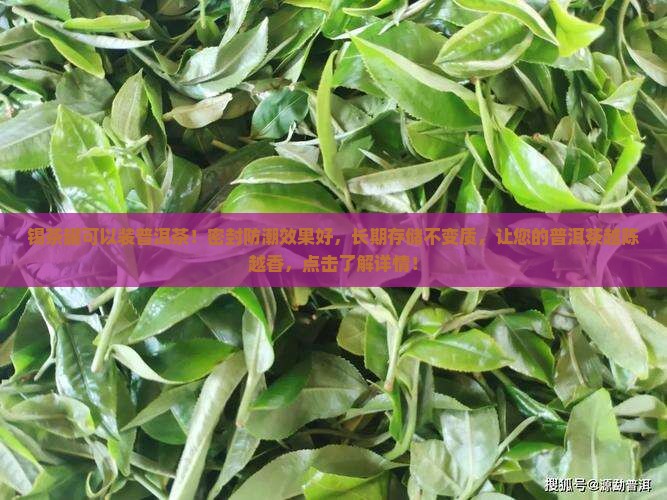 锡茶罐可以装普洱茶