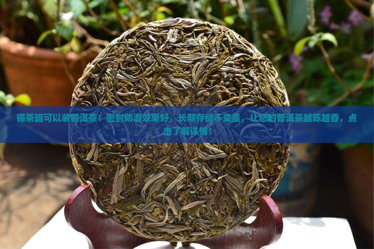 锡茶罐可以装普洱茶