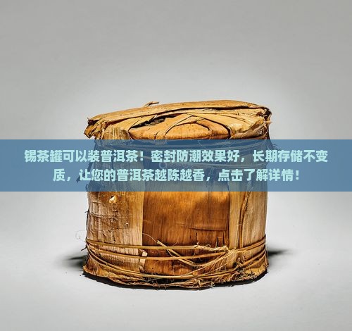 锡茶罐可以装普洱茶