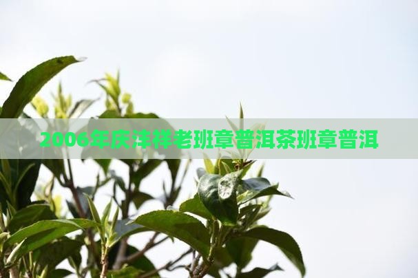 2006年庆沣祥老班章