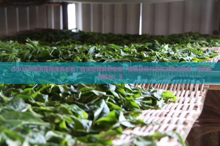 普洱茶能摆摊吗现在卖吗