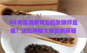 普洱茶88青的发酵师