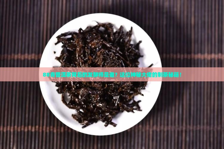 普洱茶88青的发酵师