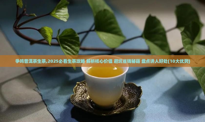 百家争鸣普洱茶生茶