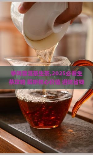 百家争鸣普洱茶生茶