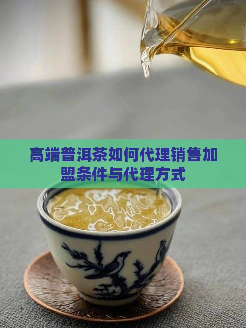 高端普洱茶如何代理