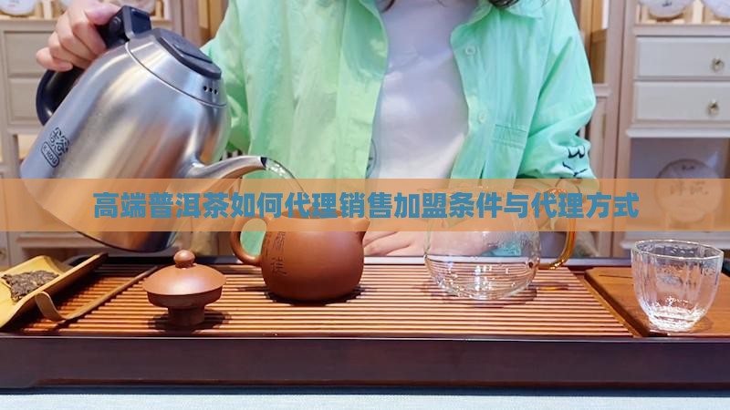 高端普洱茶如何代理