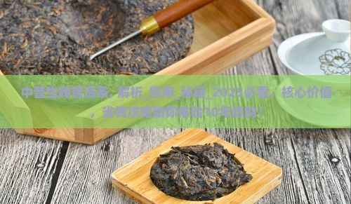 中普生牌普洱茶