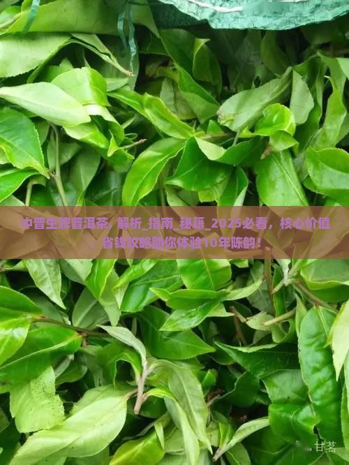 中普生牌普洱茶