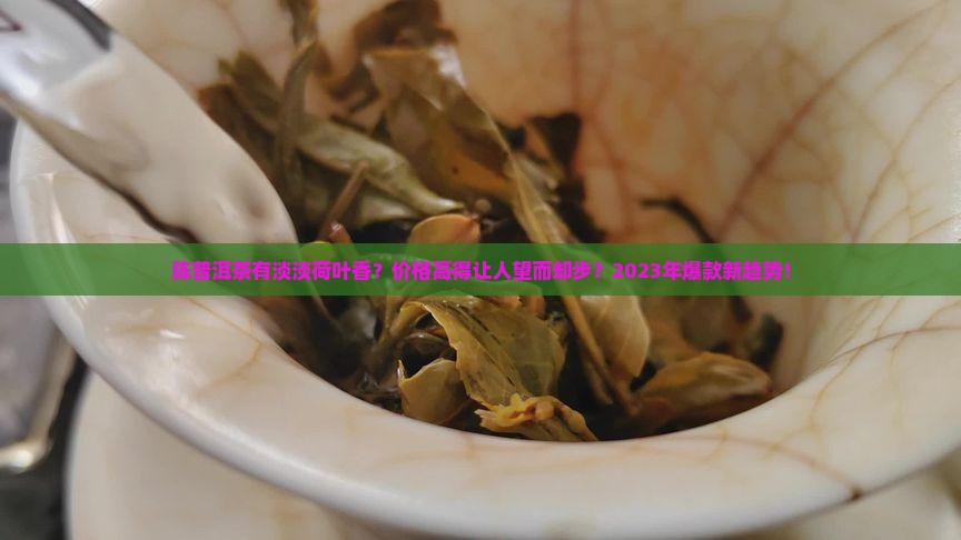 陈普洱茶有淡淡荷叶香价格