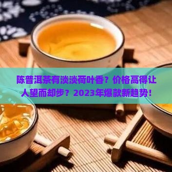 陈普洱茶有淡淡荷叶香价格
