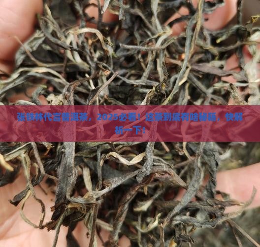 张铁林代言普洱茶