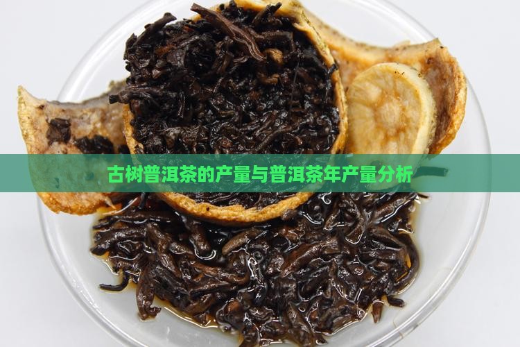 古树普洱茶的年产量