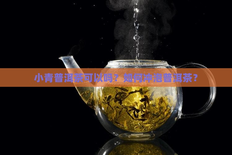 小青桔普洱茶煮可以吗