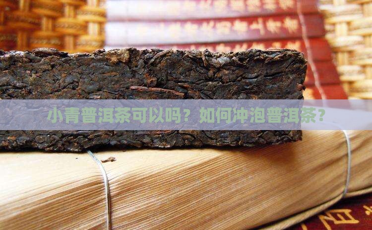 小青桔普洱茶煮可以吗