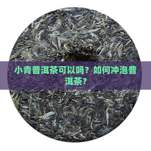 小青桔普洱茶煮可以吗