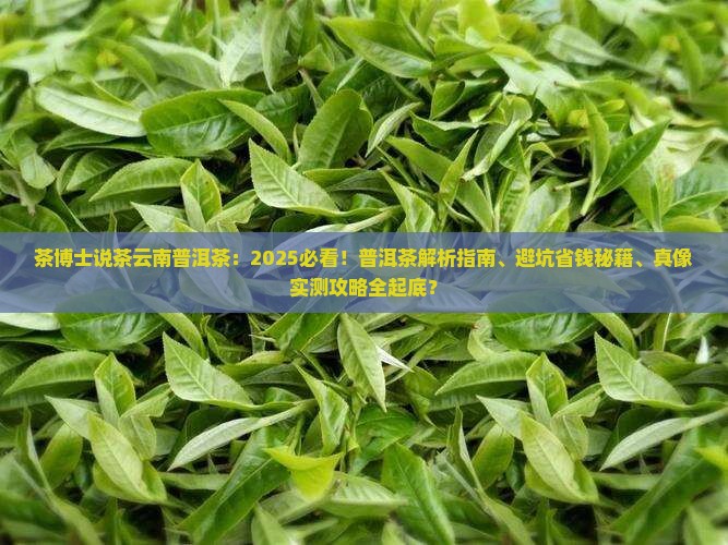 茶博士说茶云南普洱茶 茶博士说茶云南普洱茶