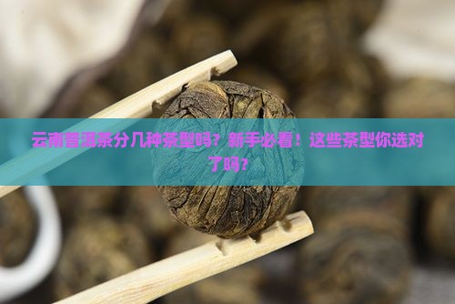 云南普洱茶分几种茶型吗