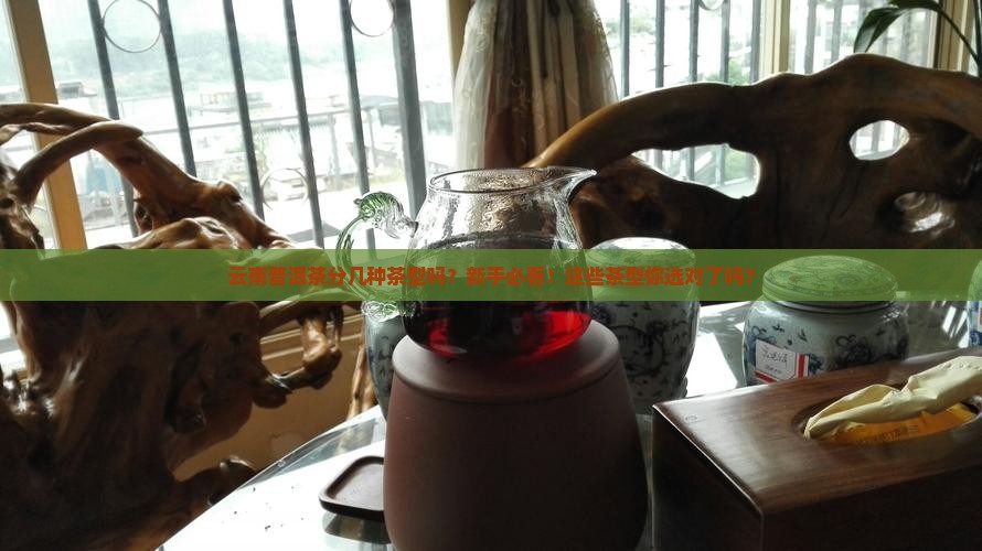 云南普洱茶分几种茶型吗
