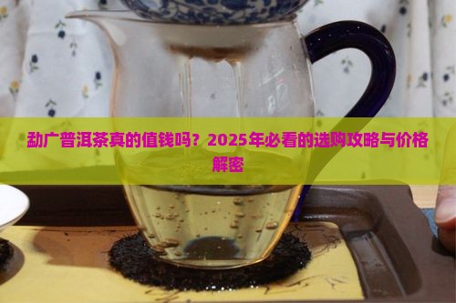勐广普洱茶的价格