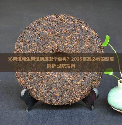 熟普洱和生普洱茶哪个好