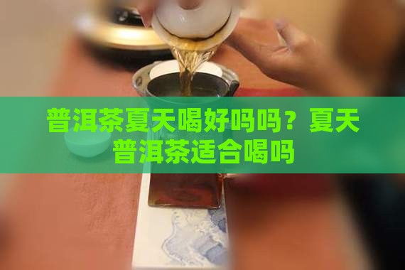 普洱茶夏天喝好吗吗