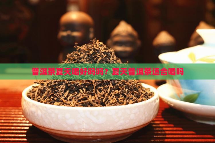 普洱茶夏天喝好吗吗