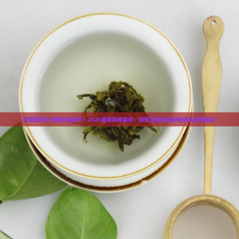 普洱茶是不是要全部撬开
