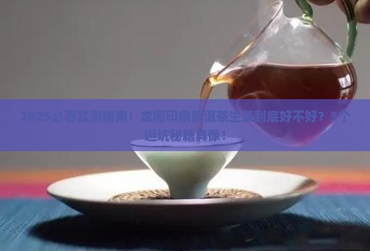 龙园印象普洱茶生茶怎么样