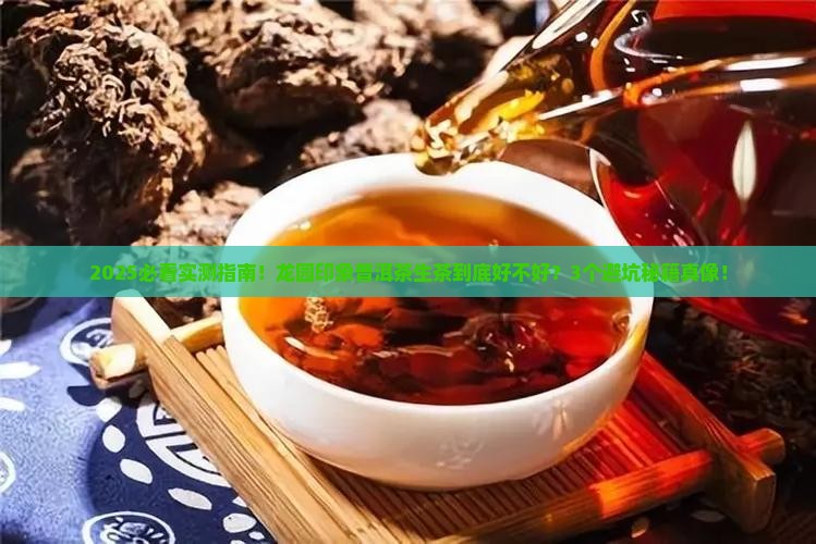 龙园印象普洱茶生茶怎么样