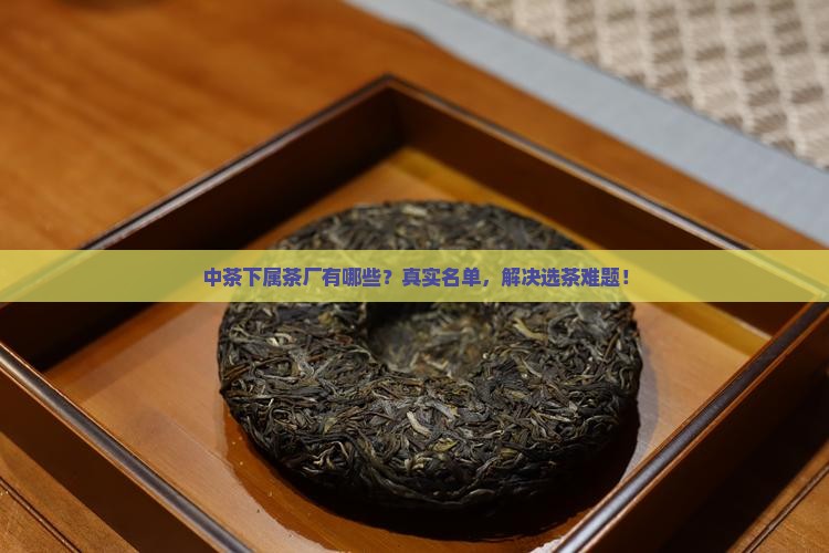中茶下属茶厂有哪些