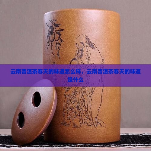 云南普洱茶春天的味道