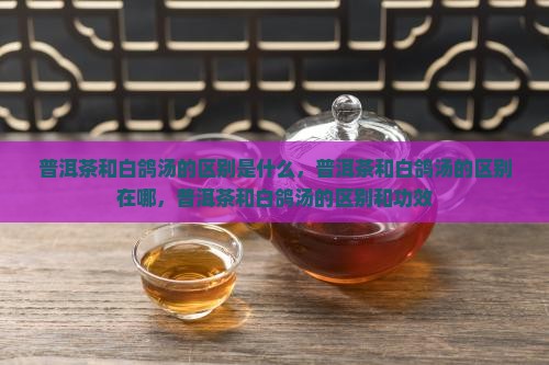 普洱茶和白鸽汤的区别