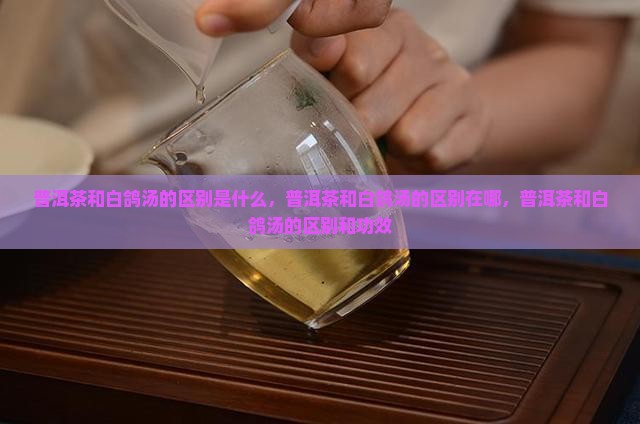 普洱茶和白鸽汤的区别