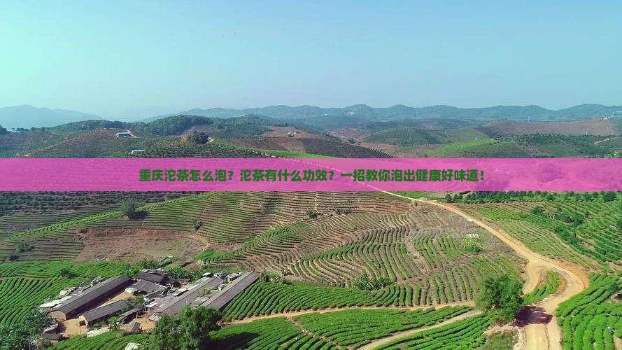 重庆沱茶怎么泡沱茶有什么功效