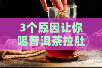 为什么喝普洱茶要拉肚子