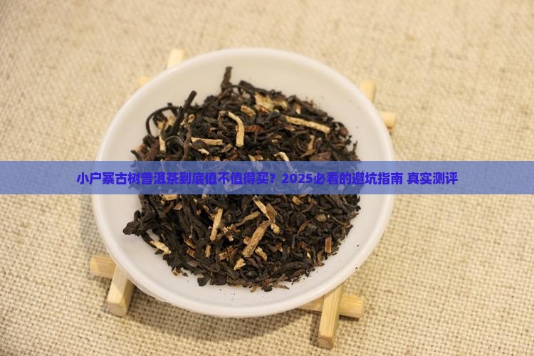 小户寨古树普洱茶