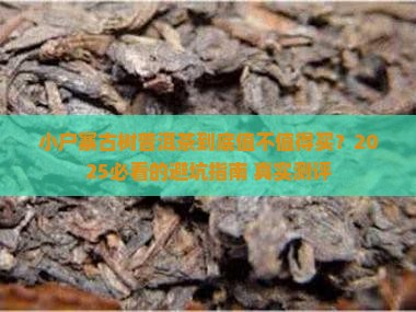小户寨古树普洱茶