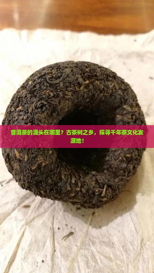 普洱茶的源头在哪里