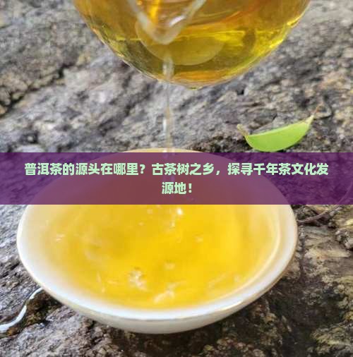 普洱茶的源头在哪里