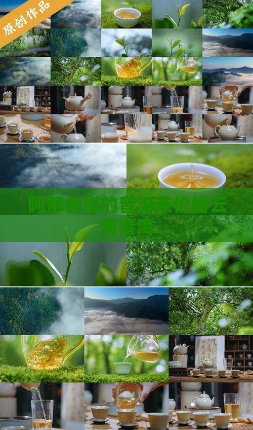阿帮各脚的普洱茶