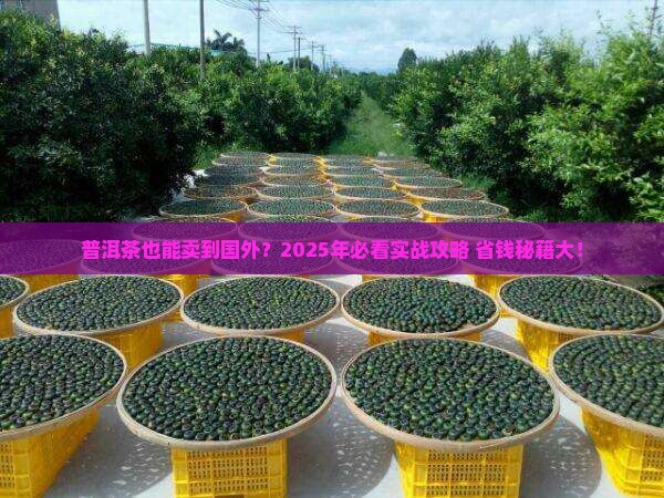 普洱茶能卖外国吗