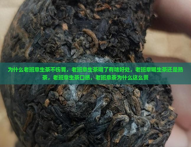 为什么老班章生茶不伤胃