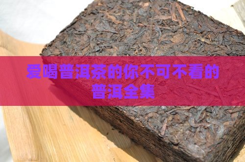致爱喝普洱茶的朋友们全集 致爱喝普洱茶的朋友们全集