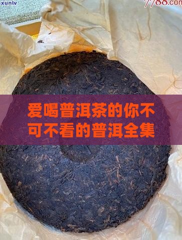 致爱喝普洱茶的朋友们全集 致爱喝普洱茶的朋友们全集