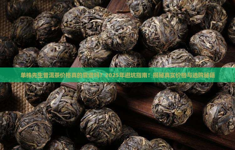 单株先生普洱茶价格