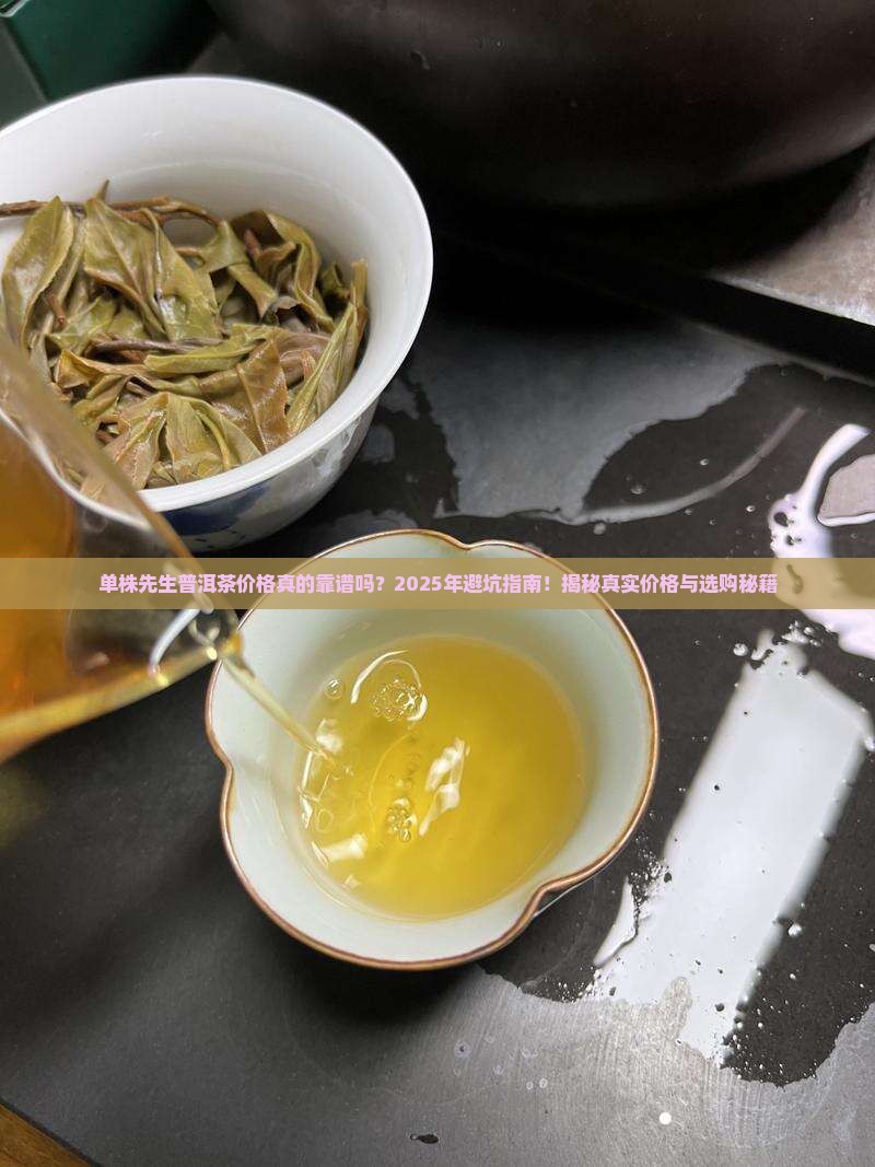 单株先生普洱茶价格