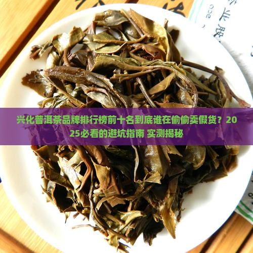 兴化普洱茶品牌排行榜前十名